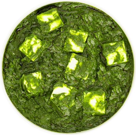 Palak Paneer